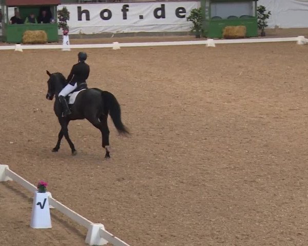 Reitturnier Kreuth/Opf. 2019