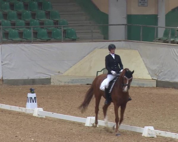 Reitturnier Kreuth/Opf. 2019
