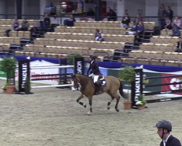 Reitturnier Neumünster 2019