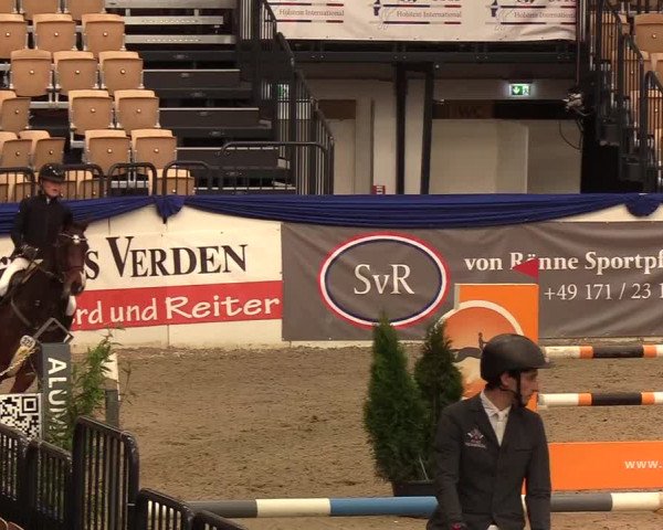 Reitturnier Neumünster 2019