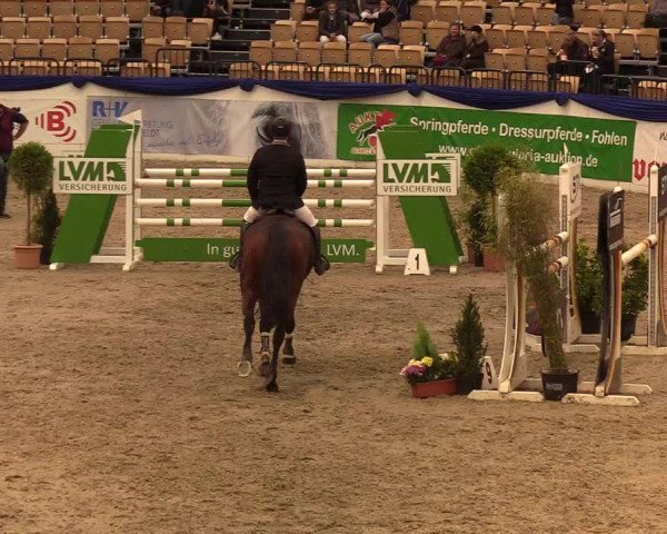 Reitturnier Neumünster 2019
