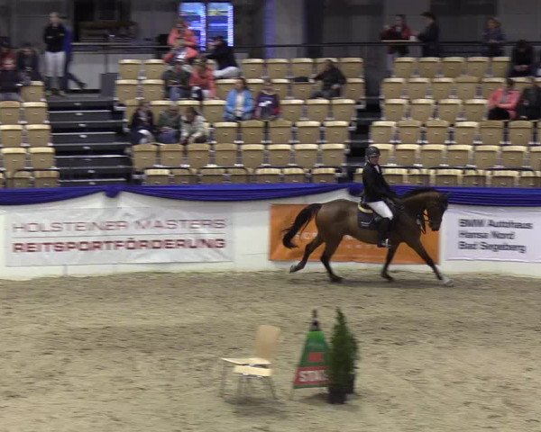 Reitturnier Neumünster 2019