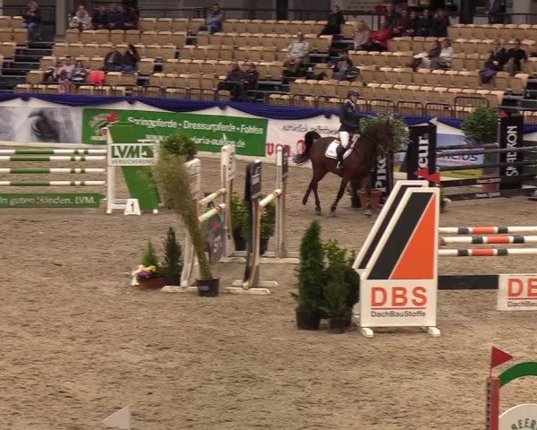 Reitturnier Neumünster 2019