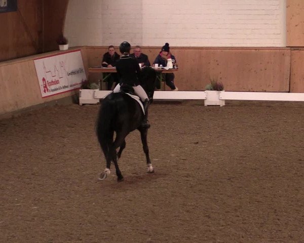 Reitturnier Hövelhof 2019