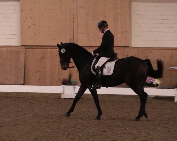 Reitturnier Hövelhof 2019