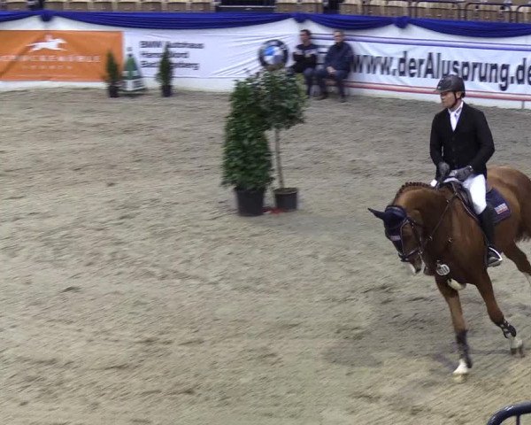 Reitturnier Neumünster 2019