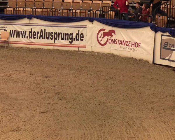 Reitturnier Neumünster 2019