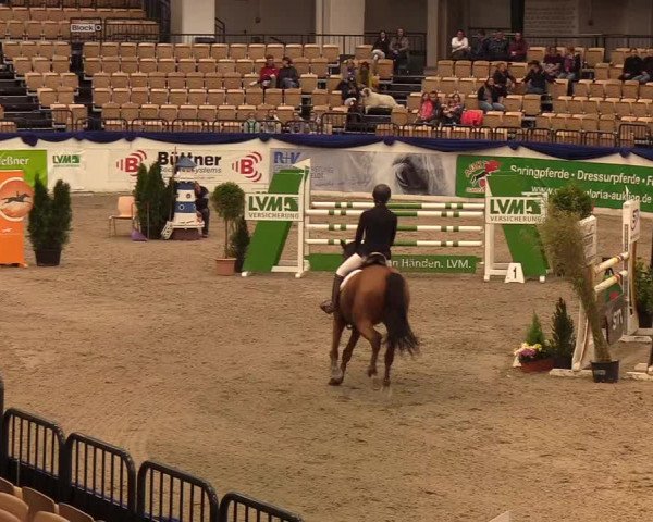 Reitturnier Neumünster 2019