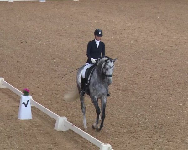 Reitturnier Kreuth/Opf. 2019
