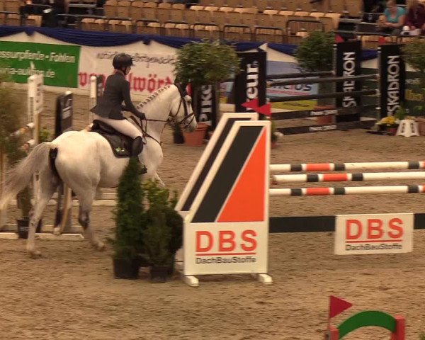 Reitturnier Neumünster 2019