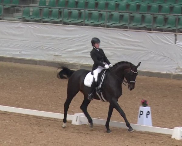 Reitturnier Kreuth/Opf. 2019