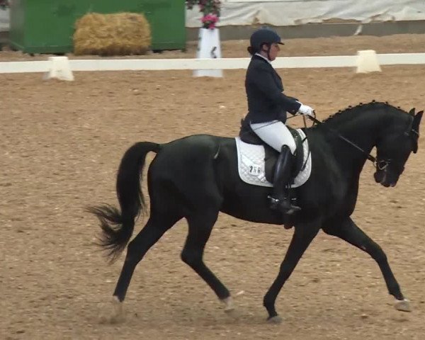 Reitturnier Kreuth/Opf. 2019