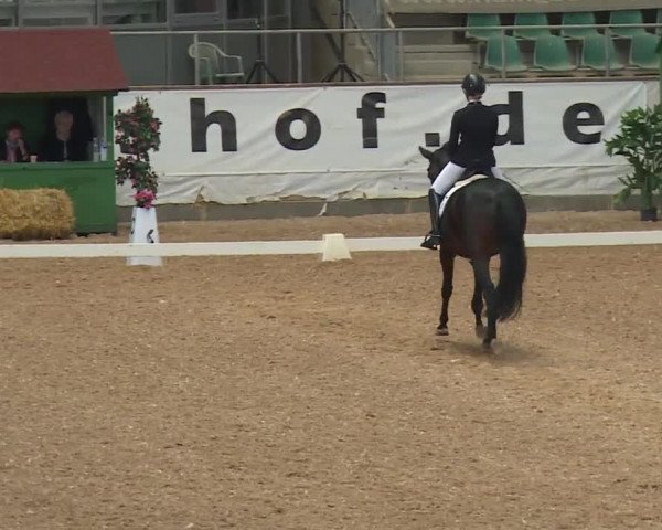 Reitturnier Kreuth/Opf. 2019