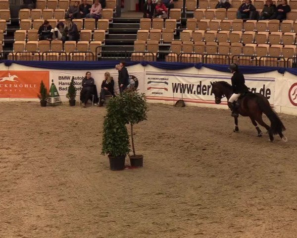 Reitturnier Neumünster 2019