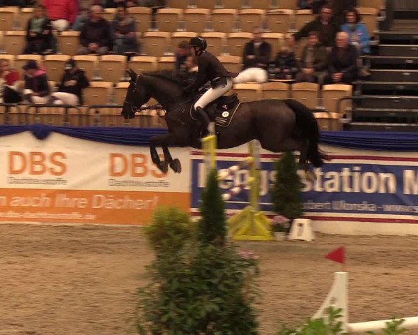 Reitturnier Neumünster 2019