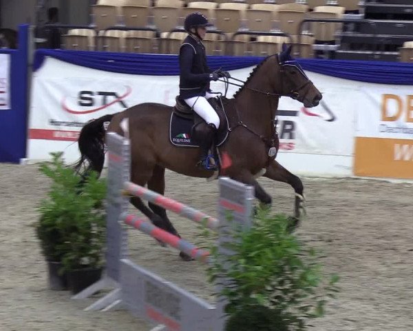 Reitturnier Neumünster 2019