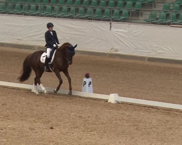 Reitturnier Kreuth/Opf. 2019