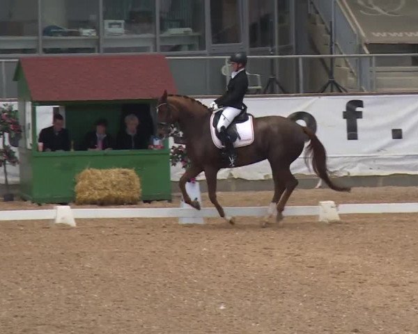 Reitturnier Kreuth/Opf. 2019