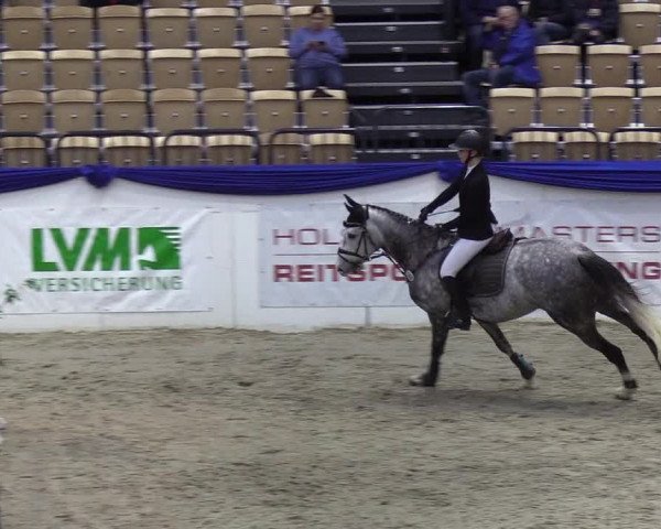 Reitturnier Neumünster 2019