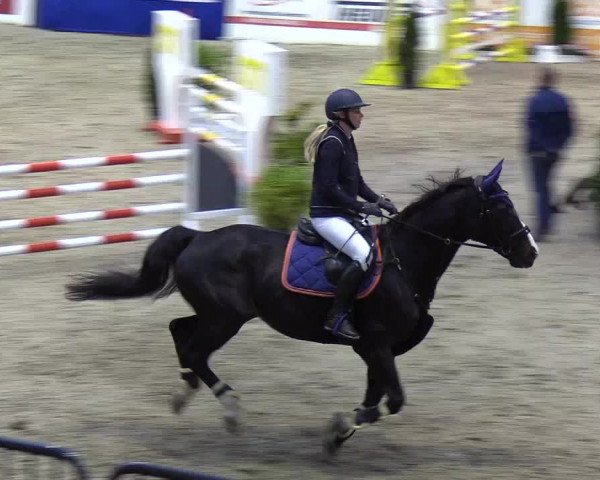 Reitturnier Neumünster 2019