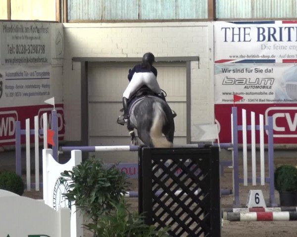 Reitturnier Wachtberg-Adendorf 2019