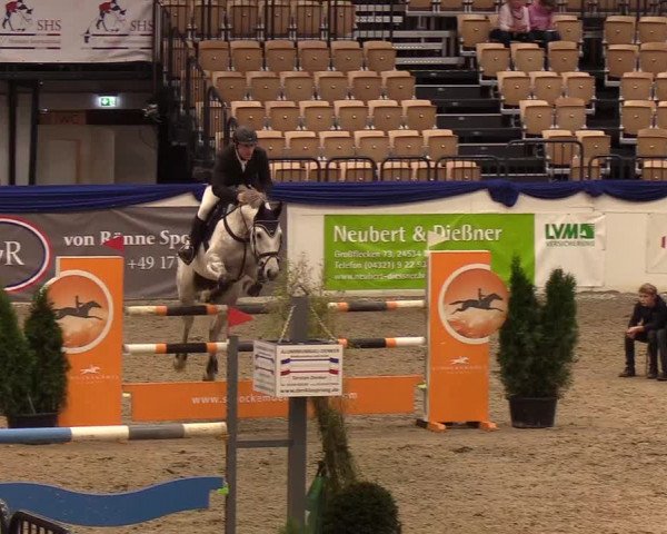 Reitturnier Neumünster 2019