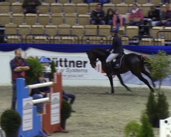 Reitturnier Neumünster 2019