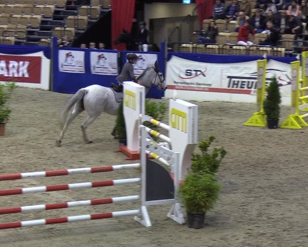 Reitturnier Neumünster 2019