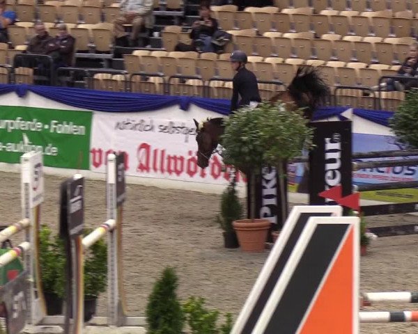 Reitturnier Neumünster 2019