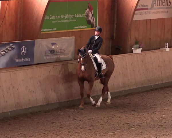 Reitturnier Hövelhof 2019