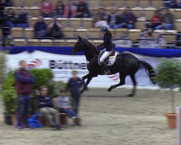 Reitturnier Neumünster 2019