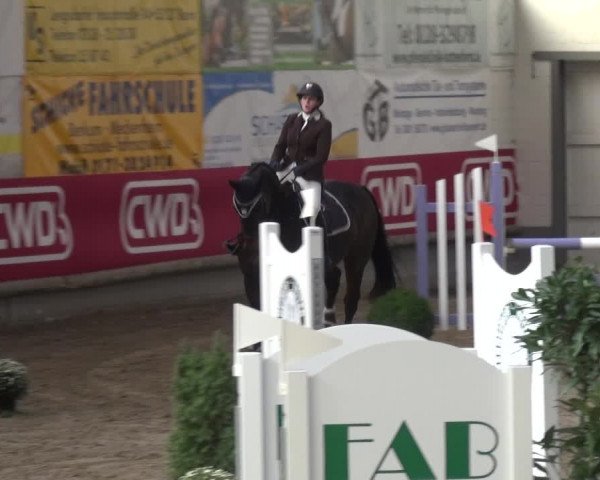 Reitturnier Wachtberg-Adendorf 2019