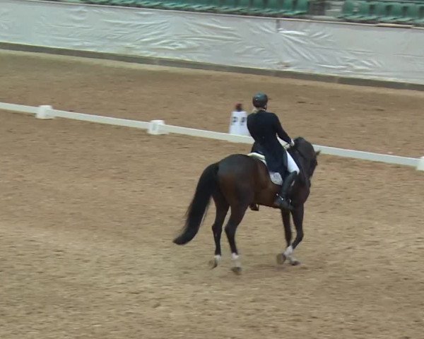 Reitturnier Kreuth/Opf. 2019