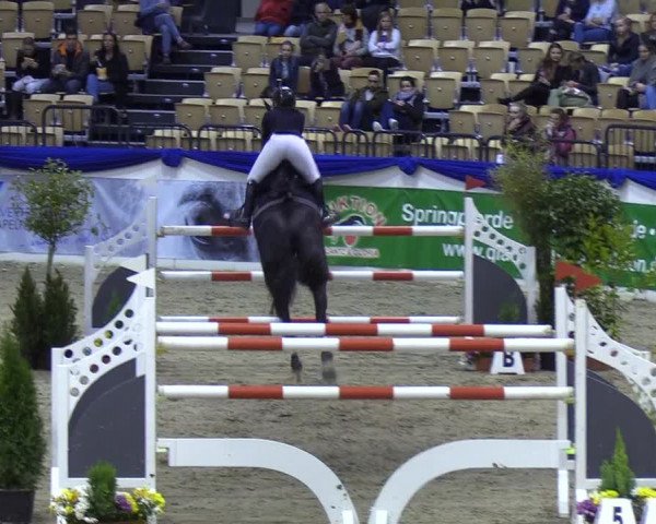 Reitturnier Neumünster 2019