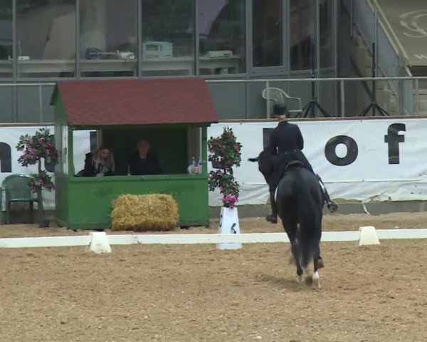 Reitturnier Kreuth/Opf. 2019