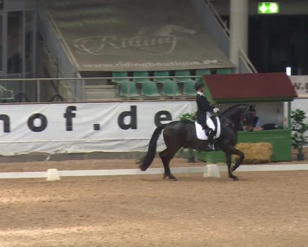 Reitturnier Kreuth/Opf. 2019