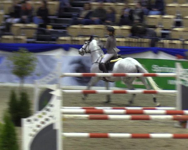 Reitturnier Neumünster 2019