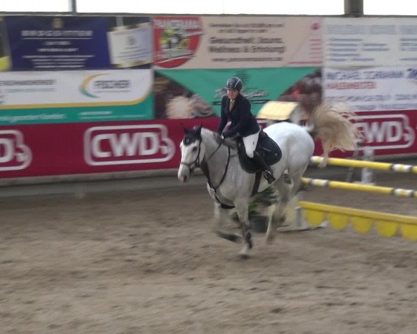 Reitturnier Wachtberg-Adendorf 2019