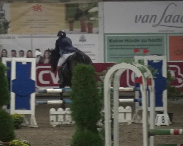 Reitturnier Wachtberg-Adendorf 2019