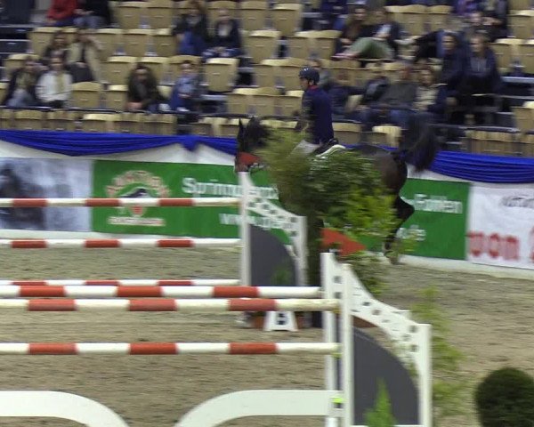 Reitturnier Neumünster 2019