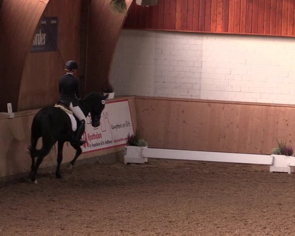 Reitturnier Hövelhof 2019