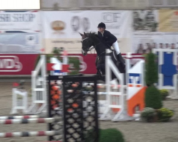 Reitturnier Wachtberg-Adendorf 2019