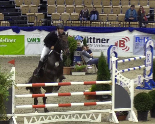 Reitturnier Neumünster 2019