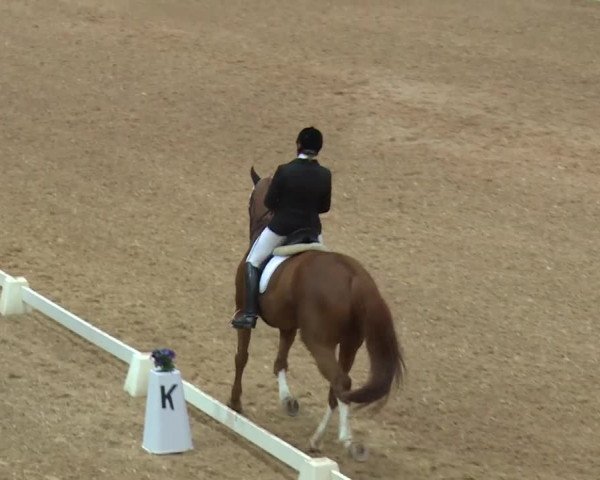 Reitturnier Kreuth/Opf. 2019