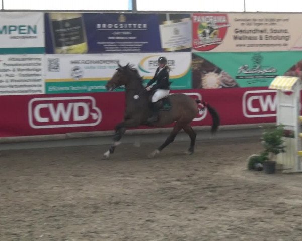 Reitturnier Wachtberg-Adendorf 2019