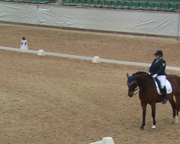 Reitturnier Kreuth/Opf. 2019