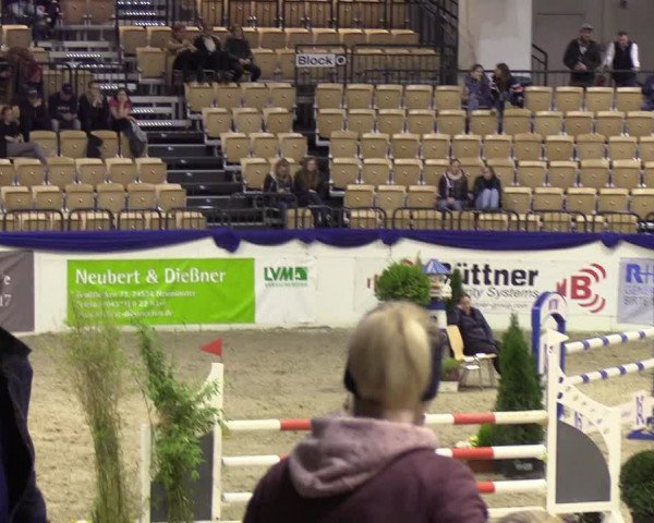 Reitturnier Neumünster 2019