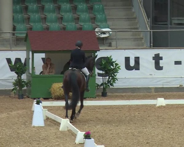 Reitturnier Kreuth/Opf. 2019