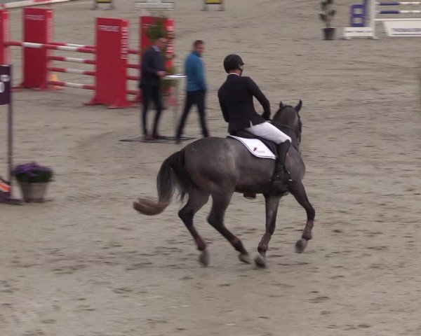 Reitturnier Westergellersen 2021