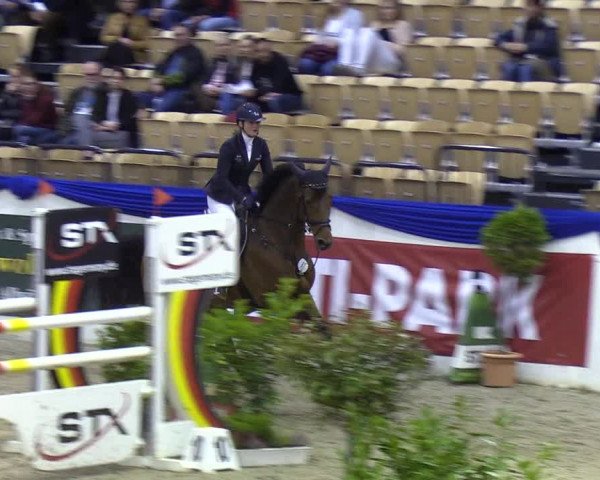 Reitturnier Neumünster 2019